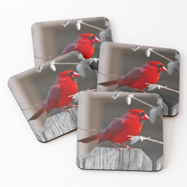 Item preview, Red Cardinal on BW designed and sold by CustomNatureArt.