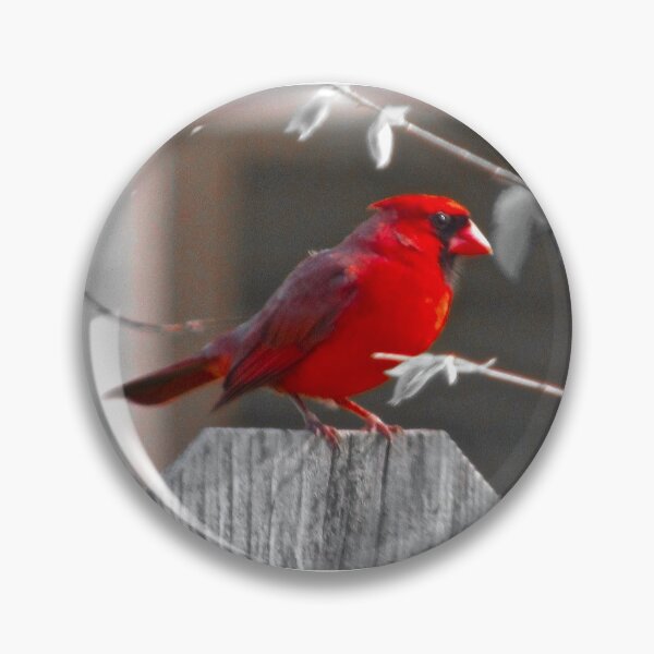 Item preview, Red Cardinal on BW designed and sold by CustomNatureArt.