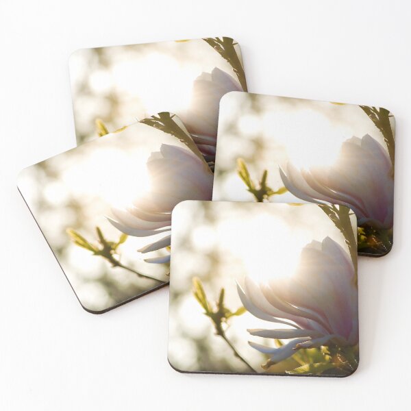 Item preview, Glowing Magnolia designed and sold by Amber Stringer Photography.