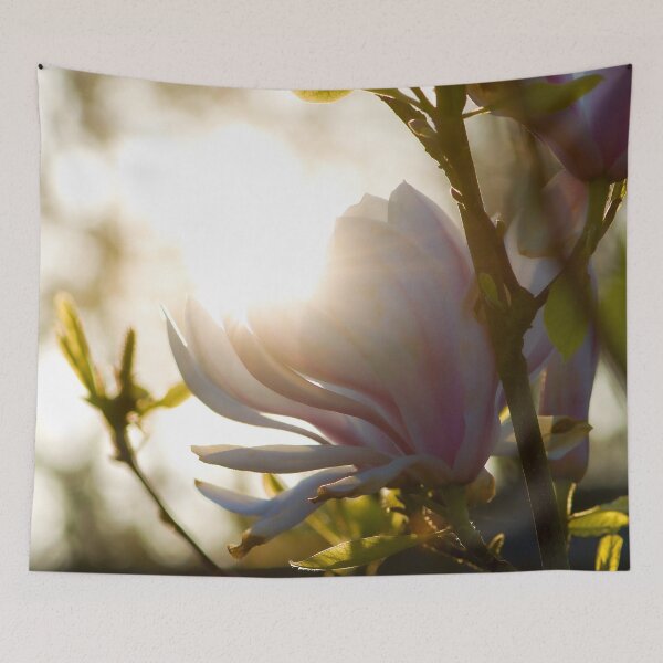 Item preview, Glowing Magnolia designed and sold by Amber Stringer Photography.