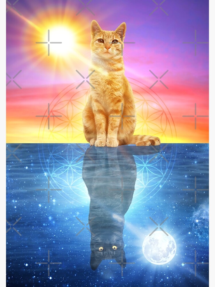 "Cute Sun and Moon Cats" Poster by DaviAguiArtes Redbubble