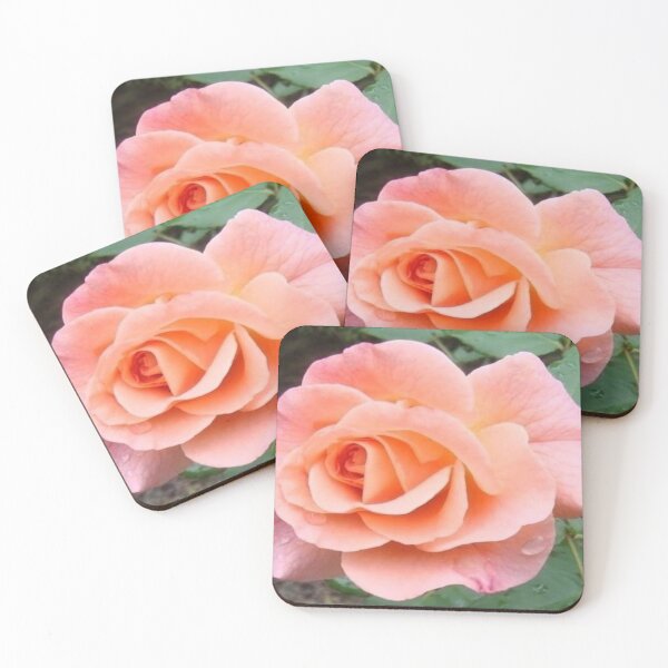 Item preview, Stunning Salmon Pink Rose designed and sold by Flirt-Teez.