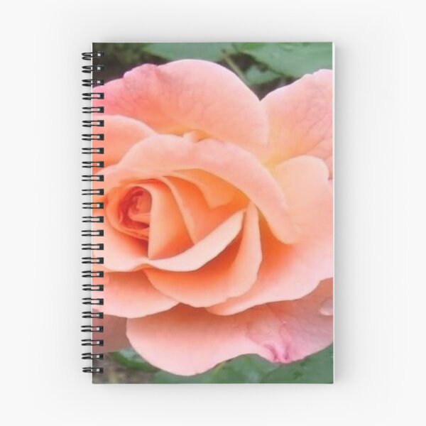Item preview, Stunning Salmon Pink Rose designed and sold by Flirt-Teez.
