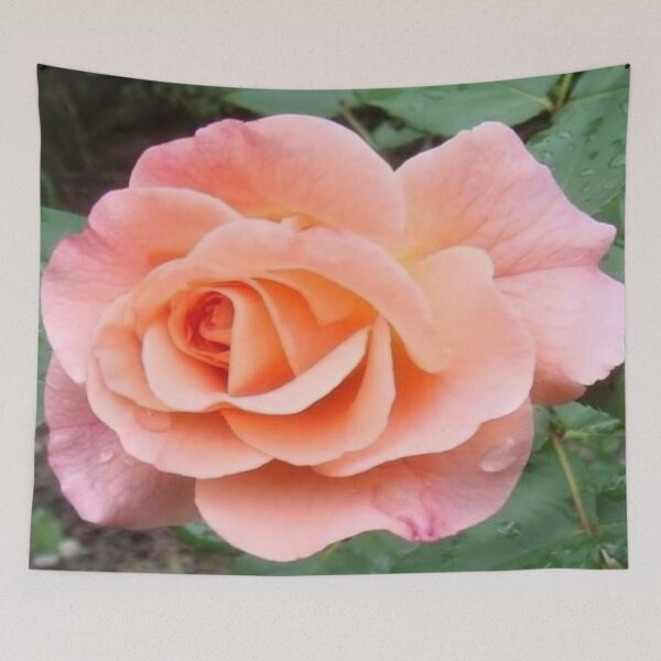 Item preview, Stunning Salmon Pink Rose designed and sold by Flirt-Teez.