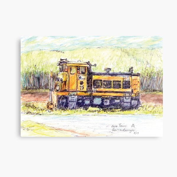Australian Scene - Cane train - Garradunga, Qld, Aus. Metal Print