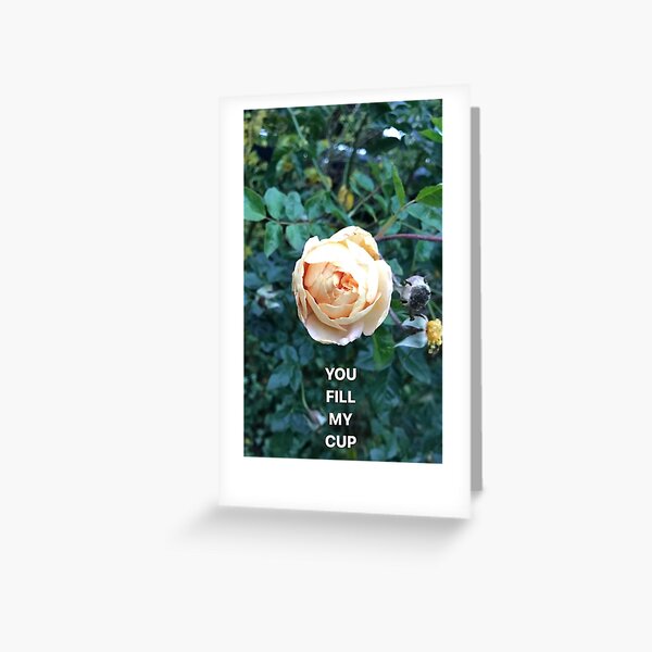 You fill my cup Greeting Card