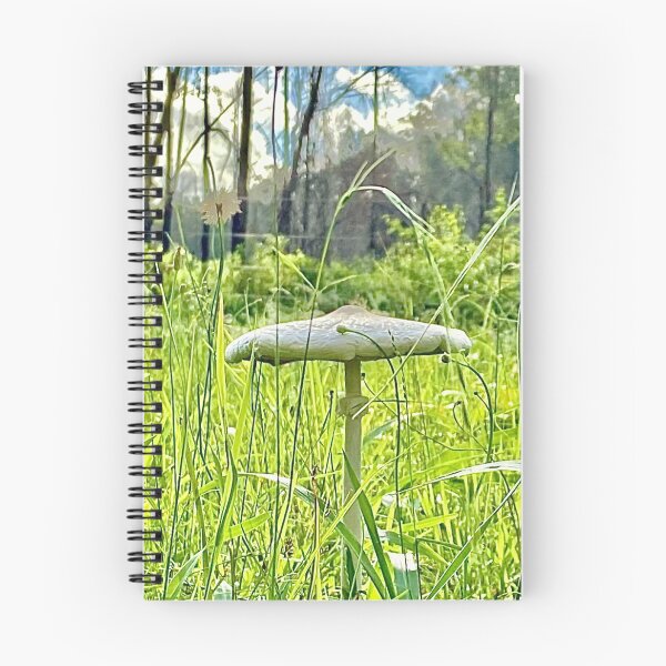 Item preview, "Toadstool" by Margo Humphries designed and sold by Margo Humphries.