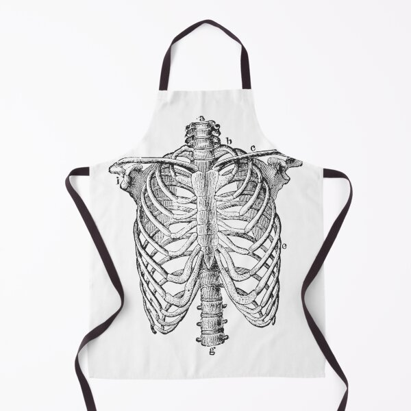 Item preview, Vintage Ribcage Anatomy designed and sold by ProudNurse.