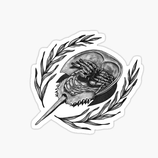 Item preview, Horseshoe Crab designed and sold by eveshmeve.