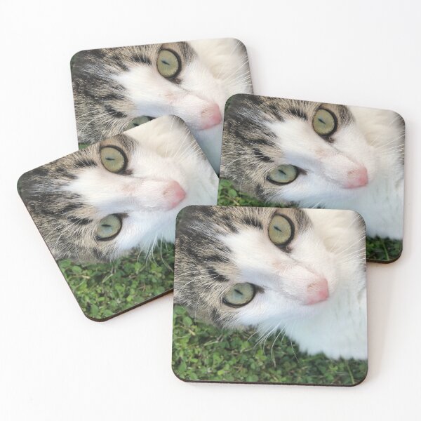 Item preview, Shio the Cat 1 designed and sold by Amospicazo.