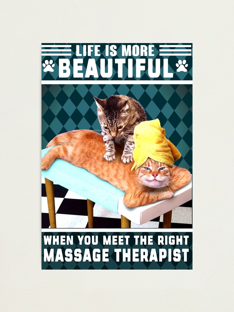 Funny Cat Life Is More Beautiful When You Meet The Right Massage