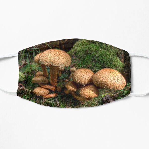 Fungi and spider Flat Mask
