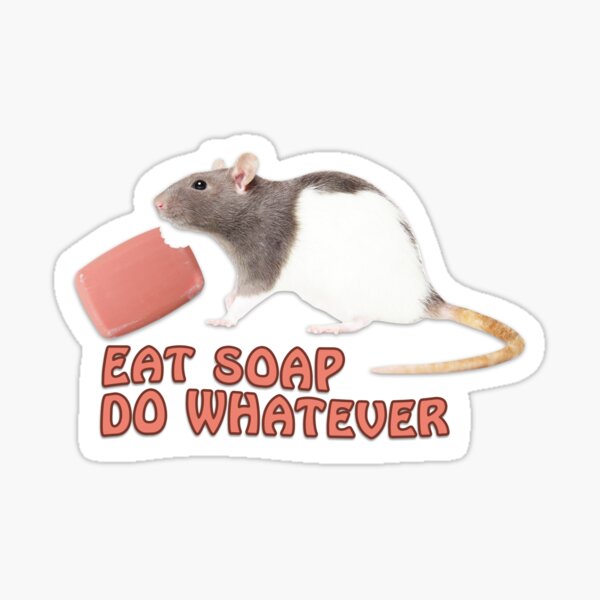 "Eat Soap Do Whatever, Rat Memes " Sticker by norbmeme Redbubble