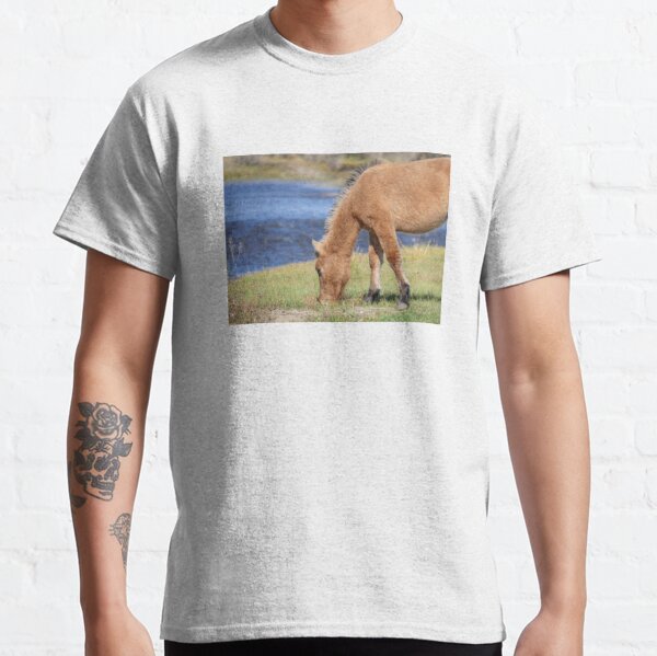 Young horse at the Tuul Classic T-Shirt