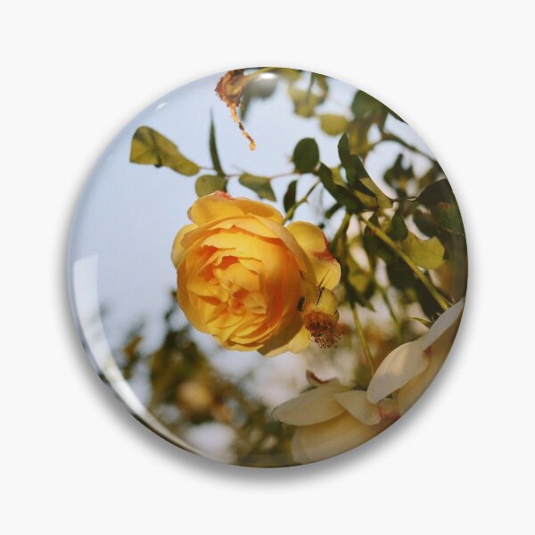 Item preview, Yellow Rose designed and sold by past-light.