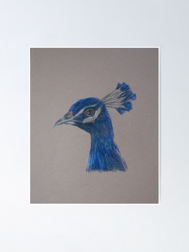 Dina Brodsky | Peacock (2019) | Available for Sale | Artsy
