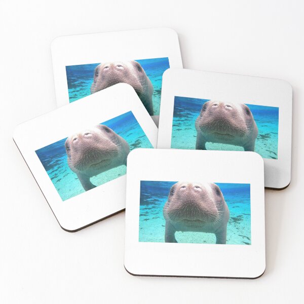 Item preview, Cute Florida Manatee Close-up Underwater designed and sold by niasadventures.