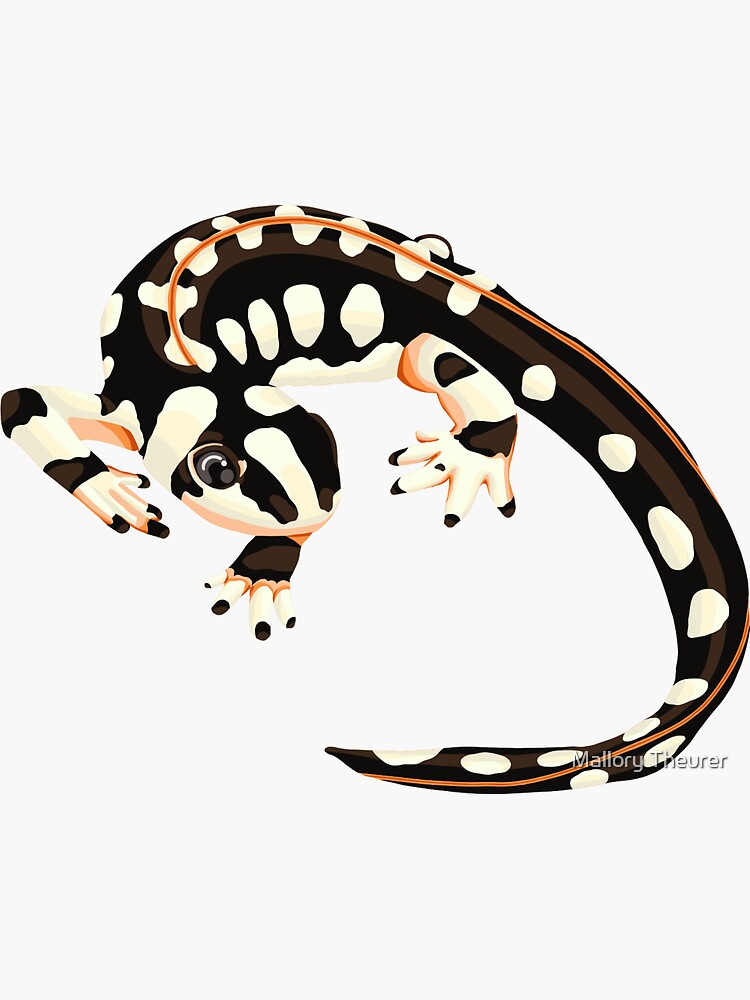 &ldquo;Luristan Newt (Neurergus kaiseri)&rdquo; Sticker for Sale by mattyanne