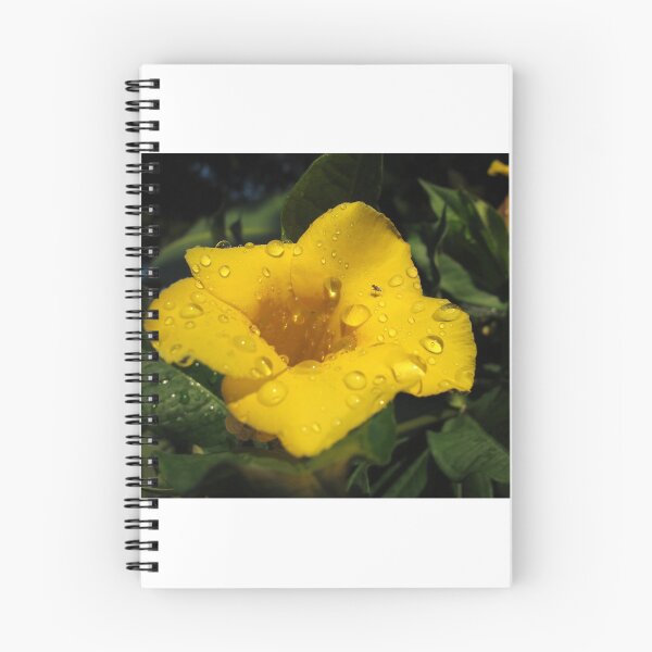 Item preview, Yellow Flower designed and sold by JohnArehart.