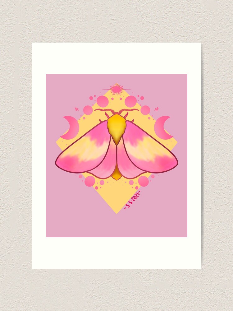 Rosy Maple Moth Painting  Pink and Yellow Moth & Samara Painting - The  Copper Wolf