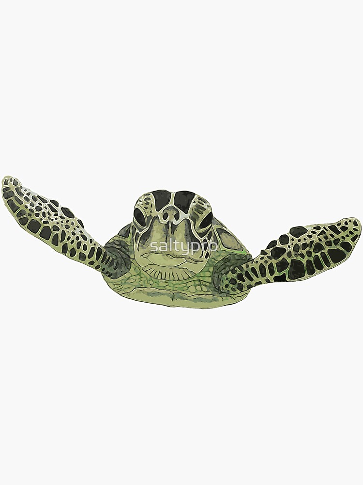 Thumbnail 3 of 3, Sticker, Green sea turtle designed and sold by saltypro.