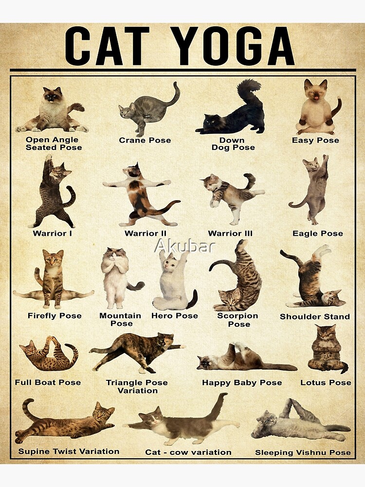 Yoga Cat Wall Art, Cat Yoga Pose by Akubar