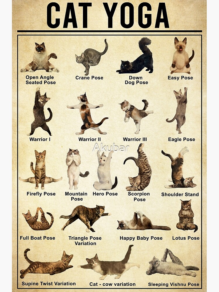 Discover Yoga Cat Wall Art, Cat Yoga Pose Canvas