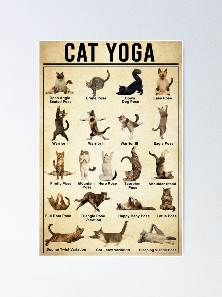 Flow Yoga Poster: Wall chart for Stretching and Nigeria | Ubuy