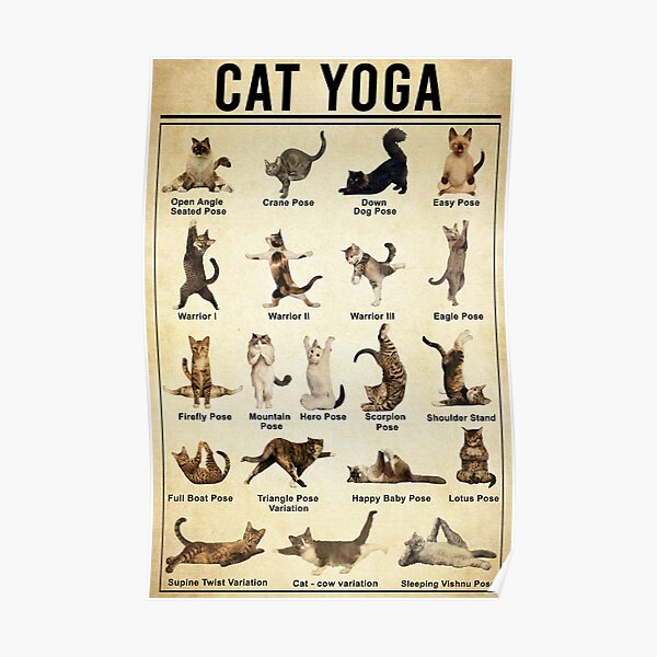 Yoga Cat Wall Art, Cat Yoga Pose Poster