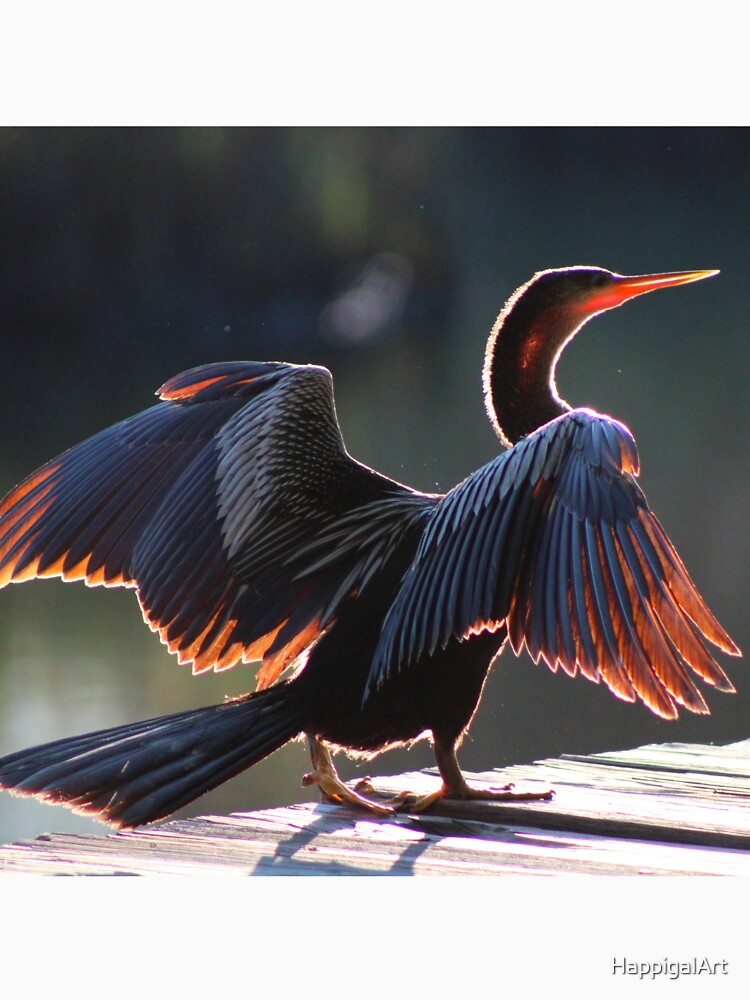 Anhinga Bird by HappigalArt