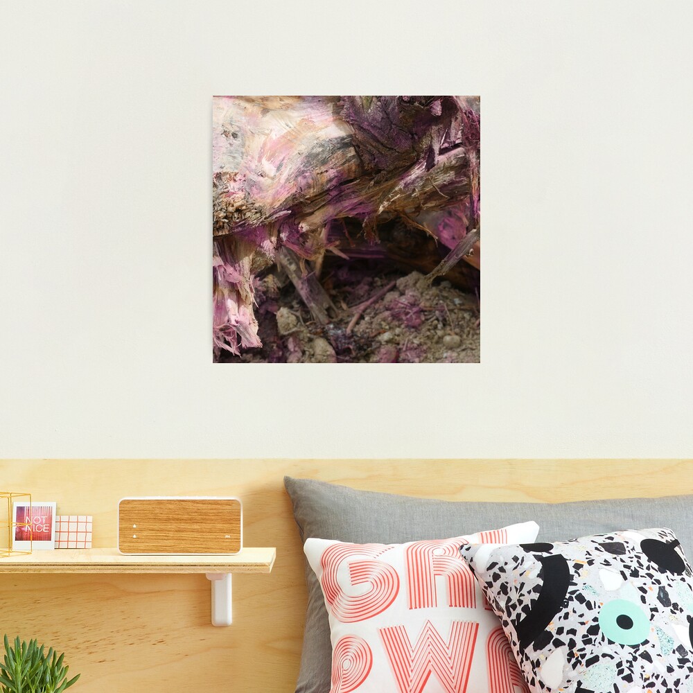 Colorful root wood Photographic Print