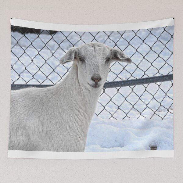 Item preview, white goat in the snow designed and sold by Stephanie  Skeem.