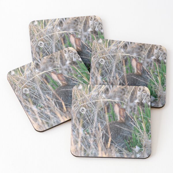 Item preview, Cottontail Bunny in Brush designed and sold by Jessica Weiss.