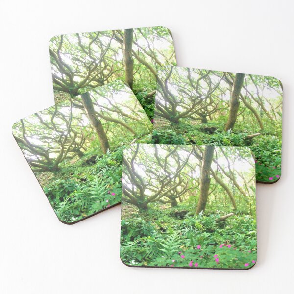 Item preview, Tropical Rainforest designed and sold by Twisted-Pixels.
