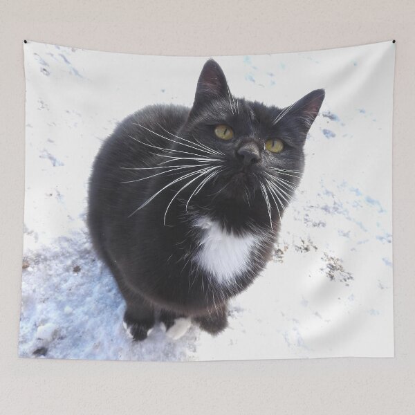 Item preview, kitty whiskers, black cat in the snow designed and sold by Stephanie  Skeem.