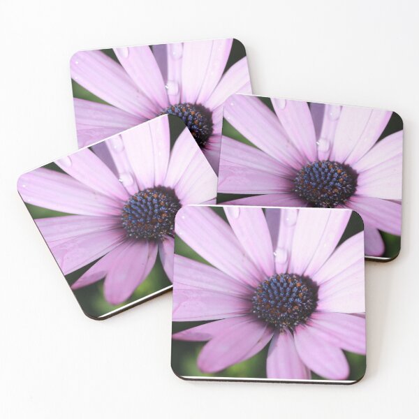 Item preview, A Purple Daisy designed and sold by Jessica Weiss.