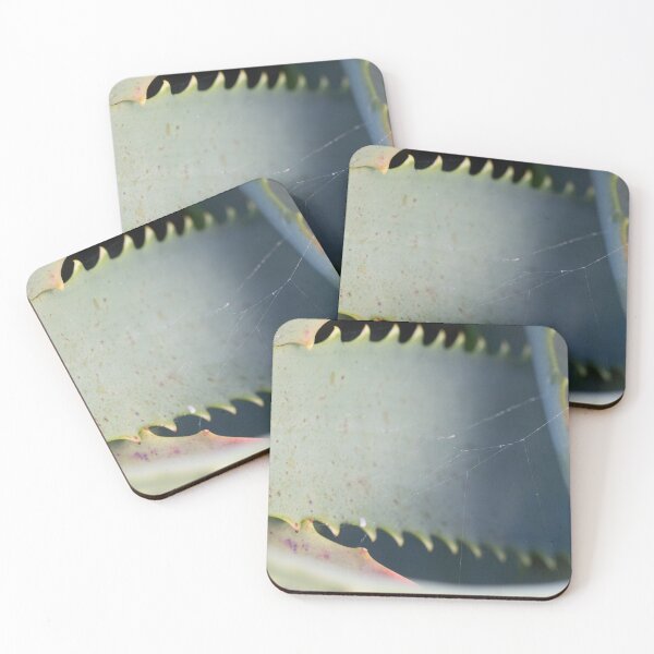 Item preview, Aloe Plant Art designed and sold by Jessica Weiss.