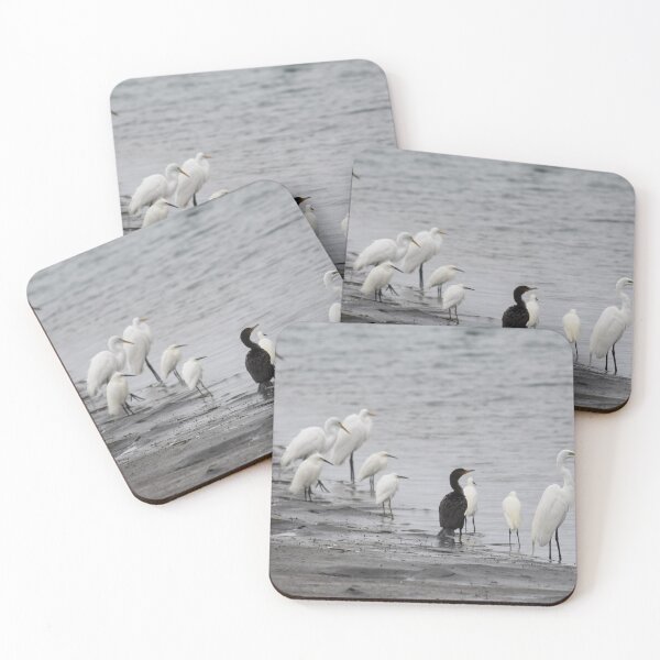 Item preview, Shorebirds Flock Together Birds designed and sold by Jessica Weiss.
