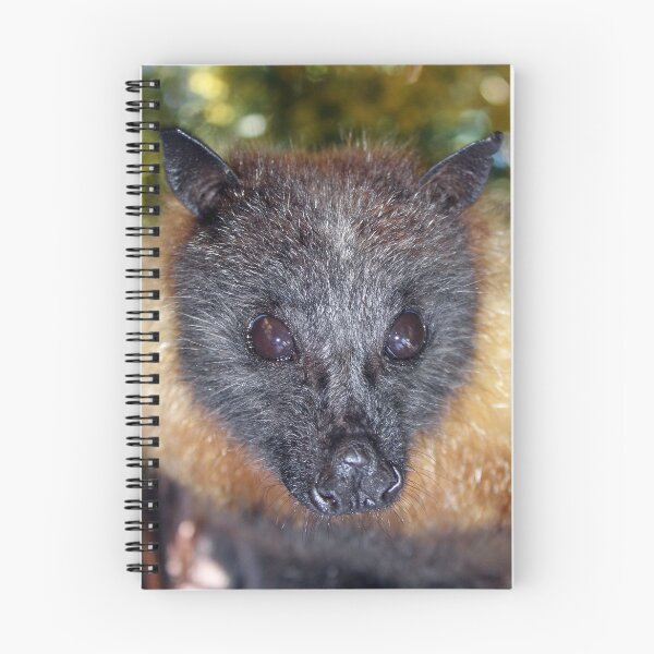 Item preview, Walter - Grey-headed Flying-Fox designed and sold by Janine Davies.