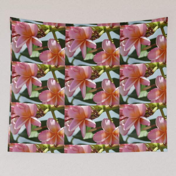 Item preview, Frangipani # 3 Pink Cushion designed and sold by ginnymac.