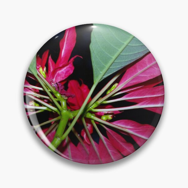 Item preview, Poinciana Cushion  designed and sold by ginnymac.