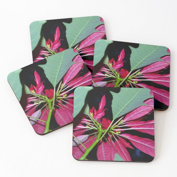 Item preview, Poinciana Cushion  designed and sold by ginnymac.