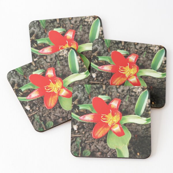 Item preview, Red beautiful tiger lily in full blossom, natural background  designed and sold by helenkaiy.