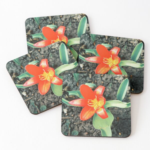 Item preview, Red beautiful tiger lily in full blossom, natural background  designed and sold by helenkaiy.