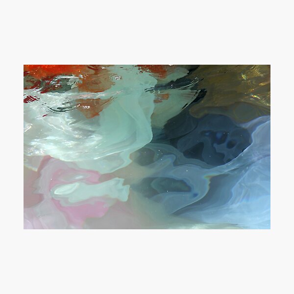 Clownfish Photographic Print