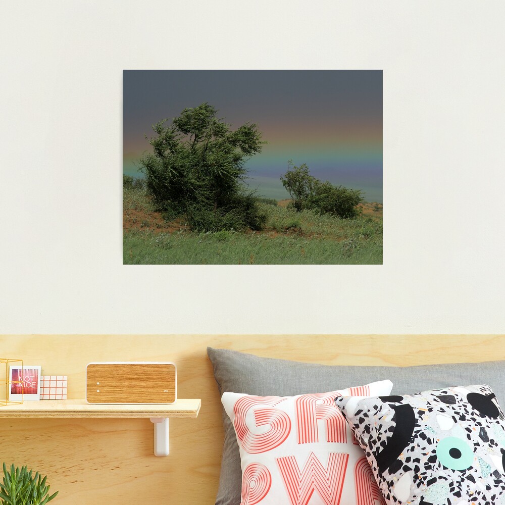 Hustai National Park Rainbow Photographic Print