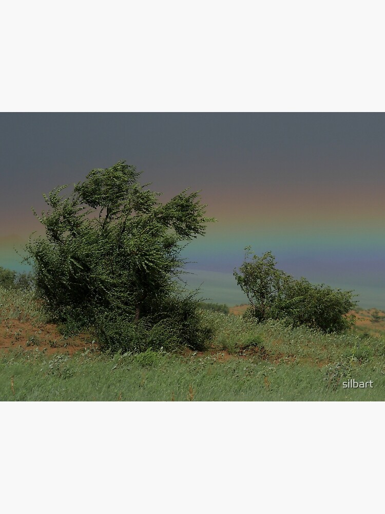 Hustai National Park Rainbow by silbart