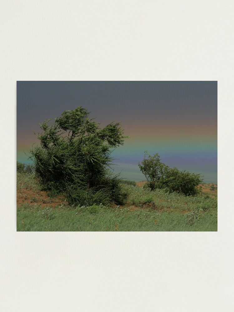 Alternate view of Hustai National Park Rainbow Photographic Print