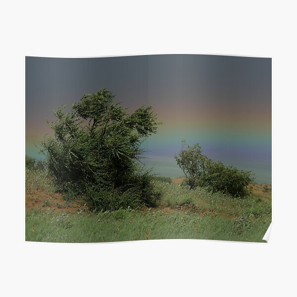 Hustai National Park Rainbow Poster
