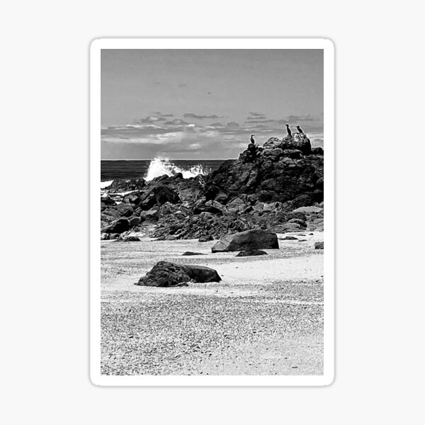 "Shags on a Rock" by Margo Humphries Sticker